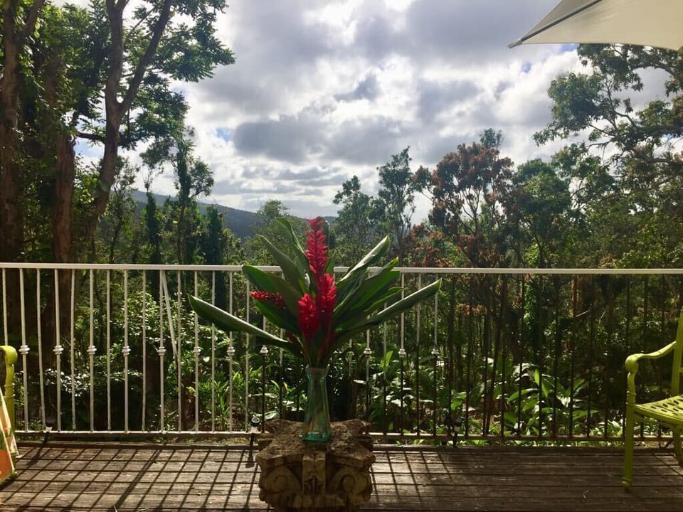 Excellent views to the montain and El Yunque Rainforest.