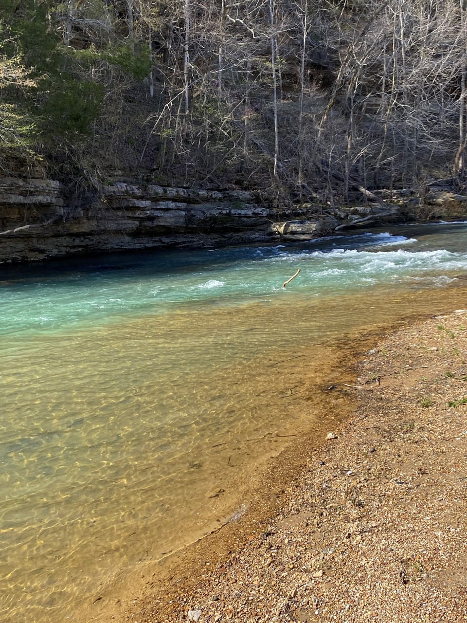 Wolf River in front of cabin