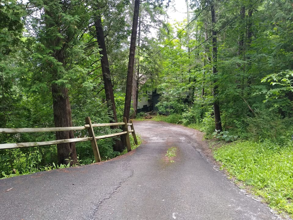 The driveway down to the Nest