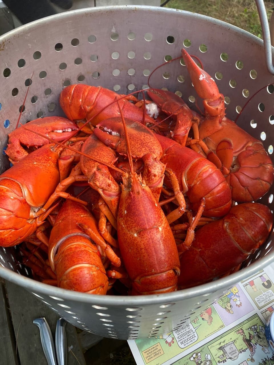 Must eat lobster!