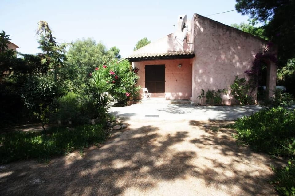 Garden, Park