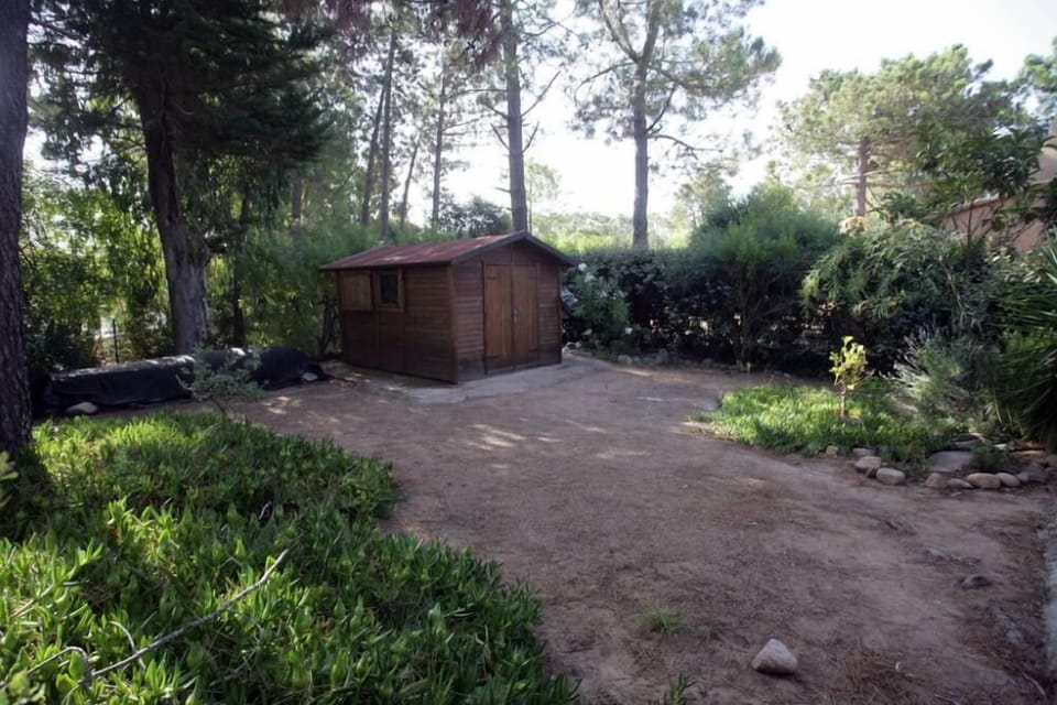 Garden, Park