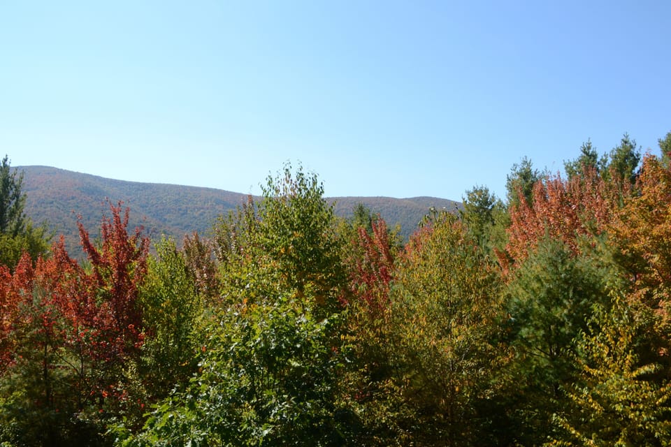 Gorgeous Panoramic Views from Deck