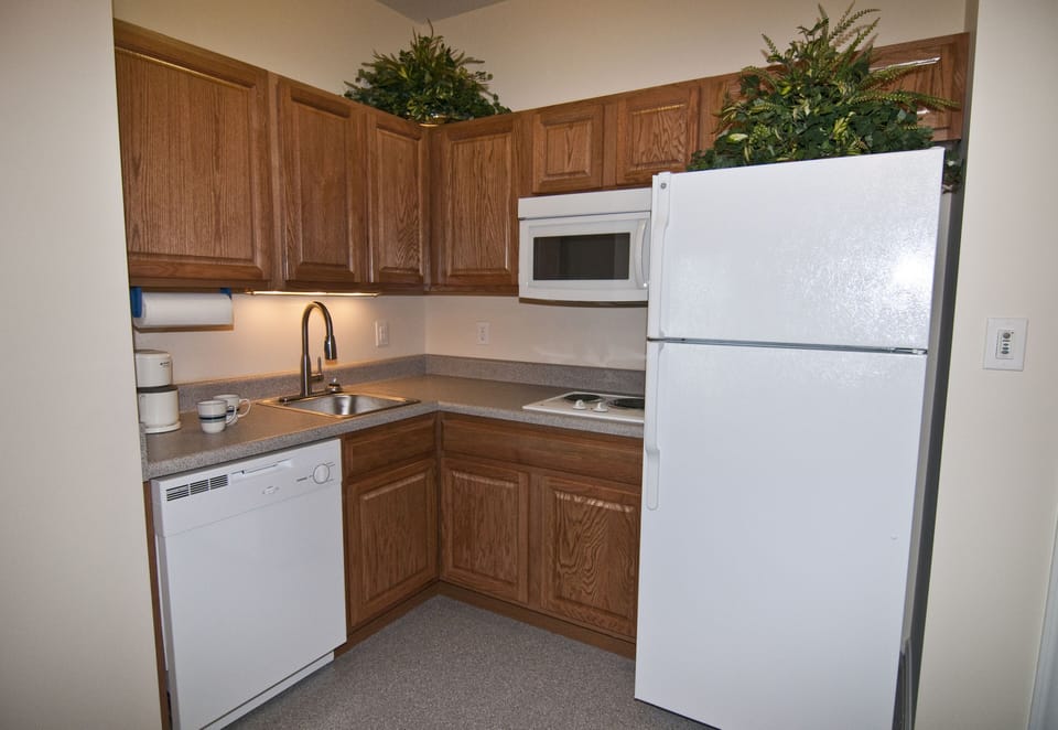 Full kitchenette minus an oven.