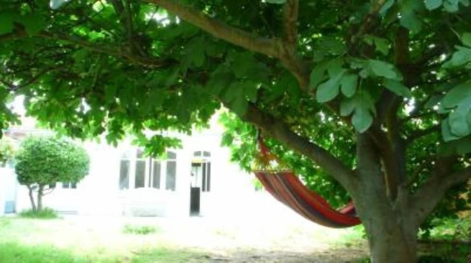 Garden, Park