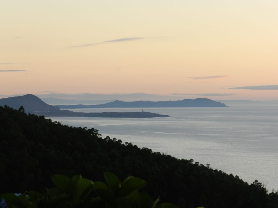 Twilight from the garden