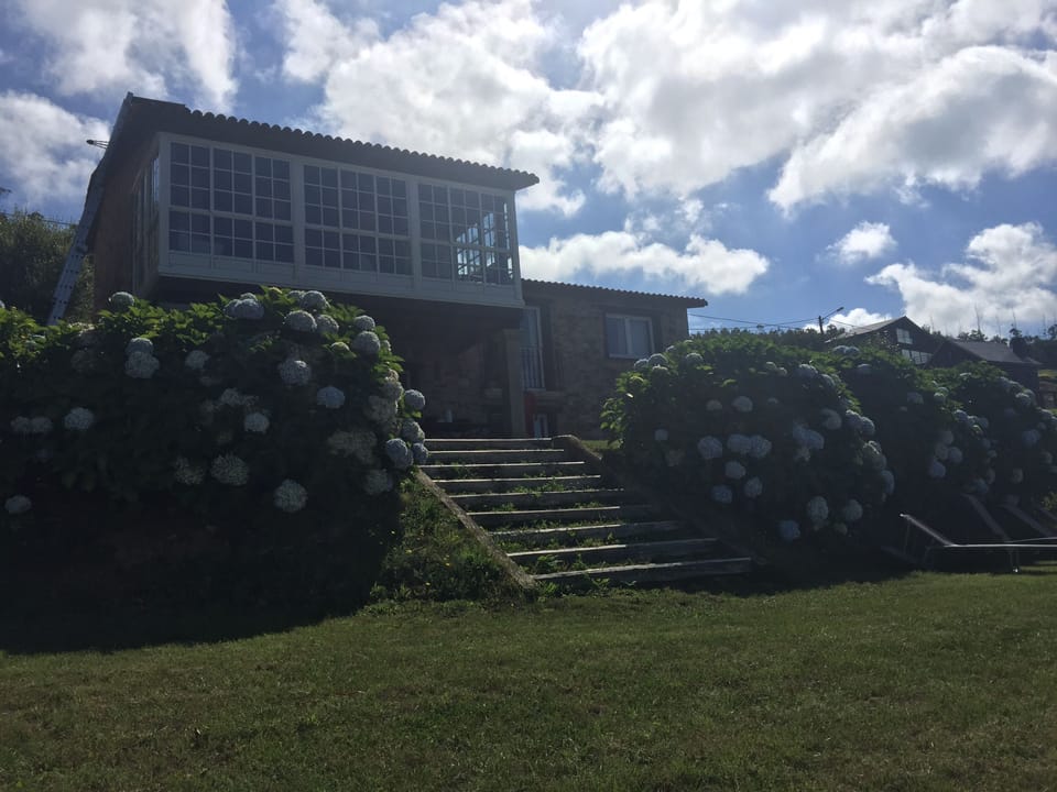 House from the garden