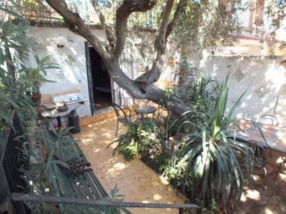 Terrace / Balcony