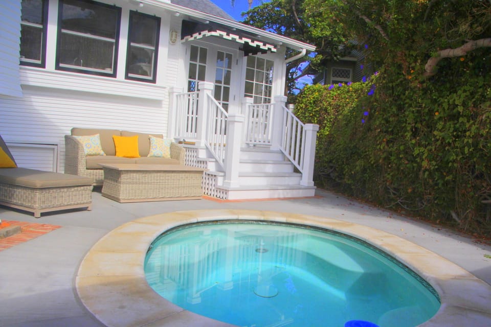 Back yard plunge pool/Jacuzzi.