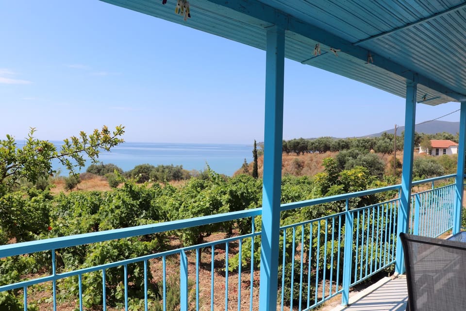 Sea view