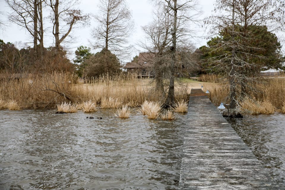 View toward the house from the end of the pier