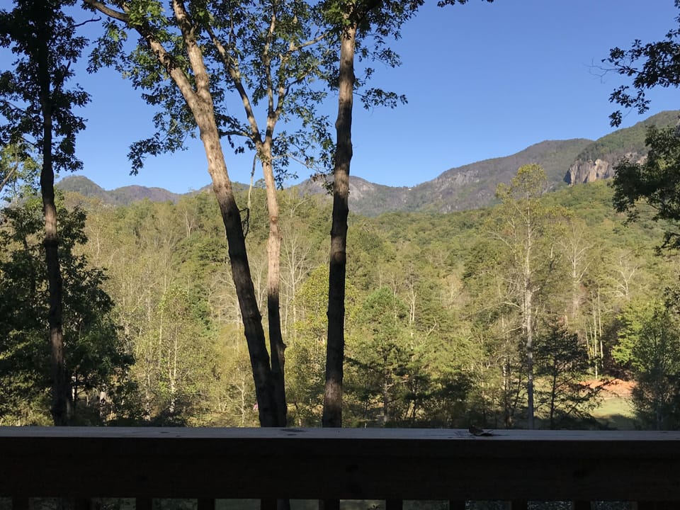 Summer View