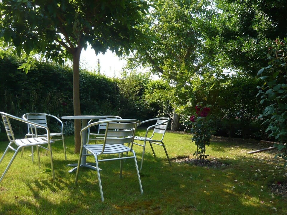 Front garden with sun and shade