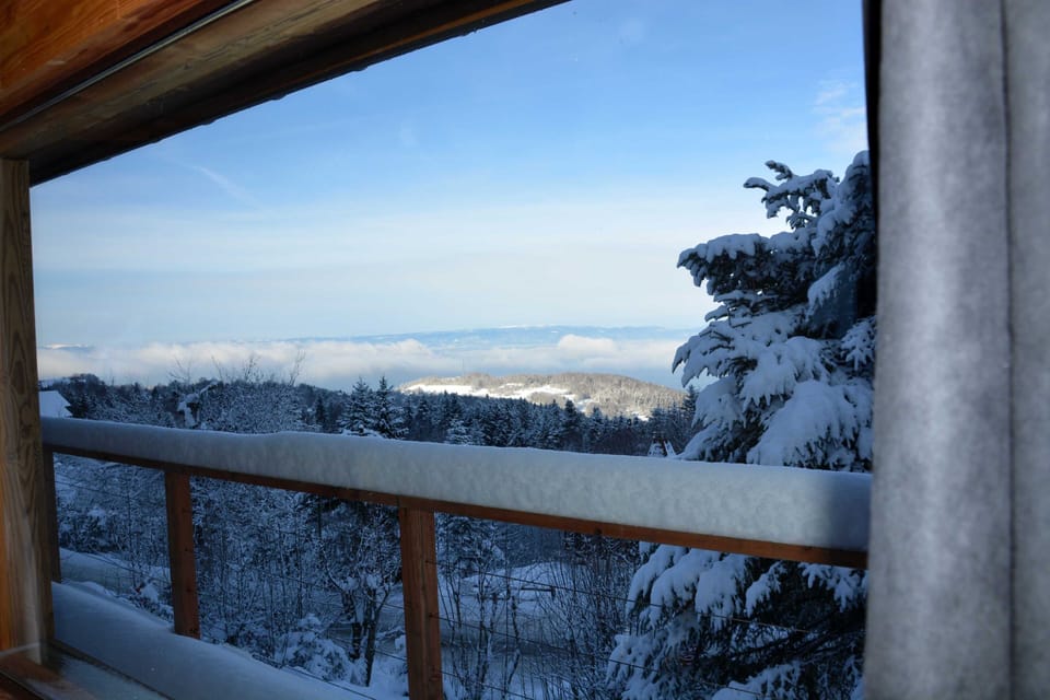 View from the dinning area 1100 m above sea level