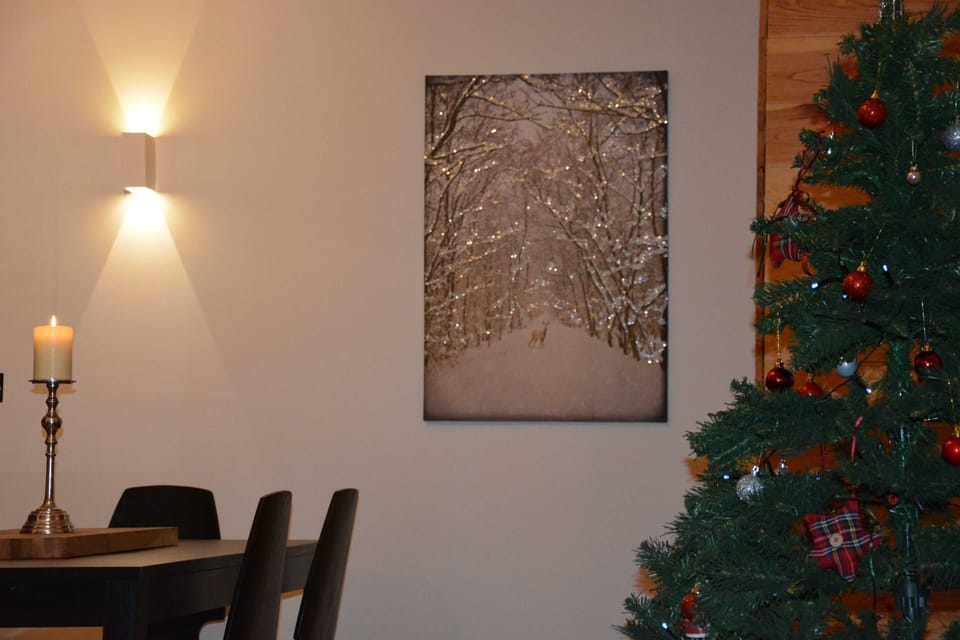 Christmas in the dinning area