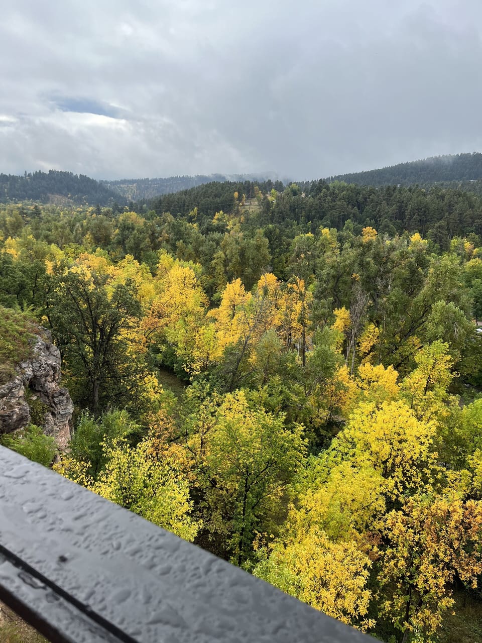 Fall view