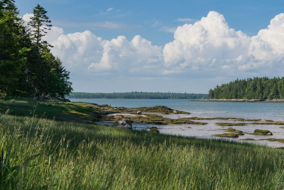 View up the Bay