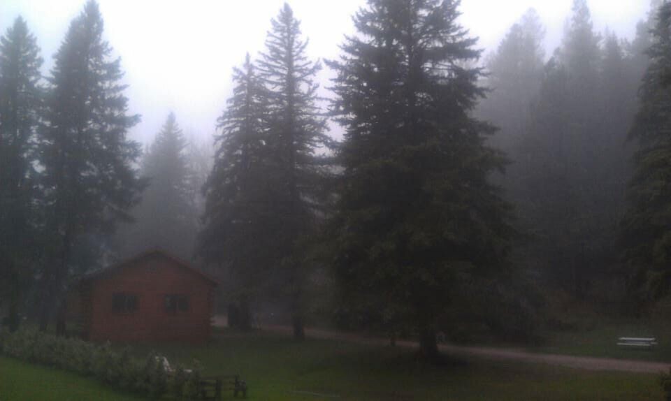 Spring day at the cabin.