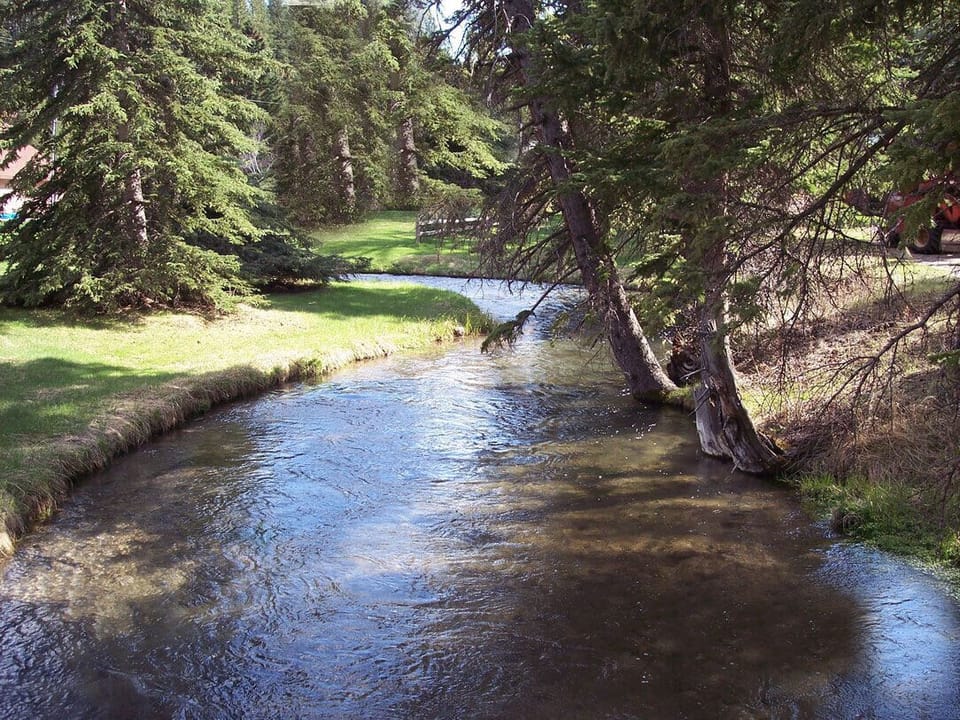 Tubing, fishing or just relaxing in the shade of our ever calming creek.