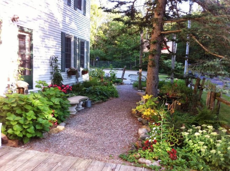 Our pretty front English garden.
