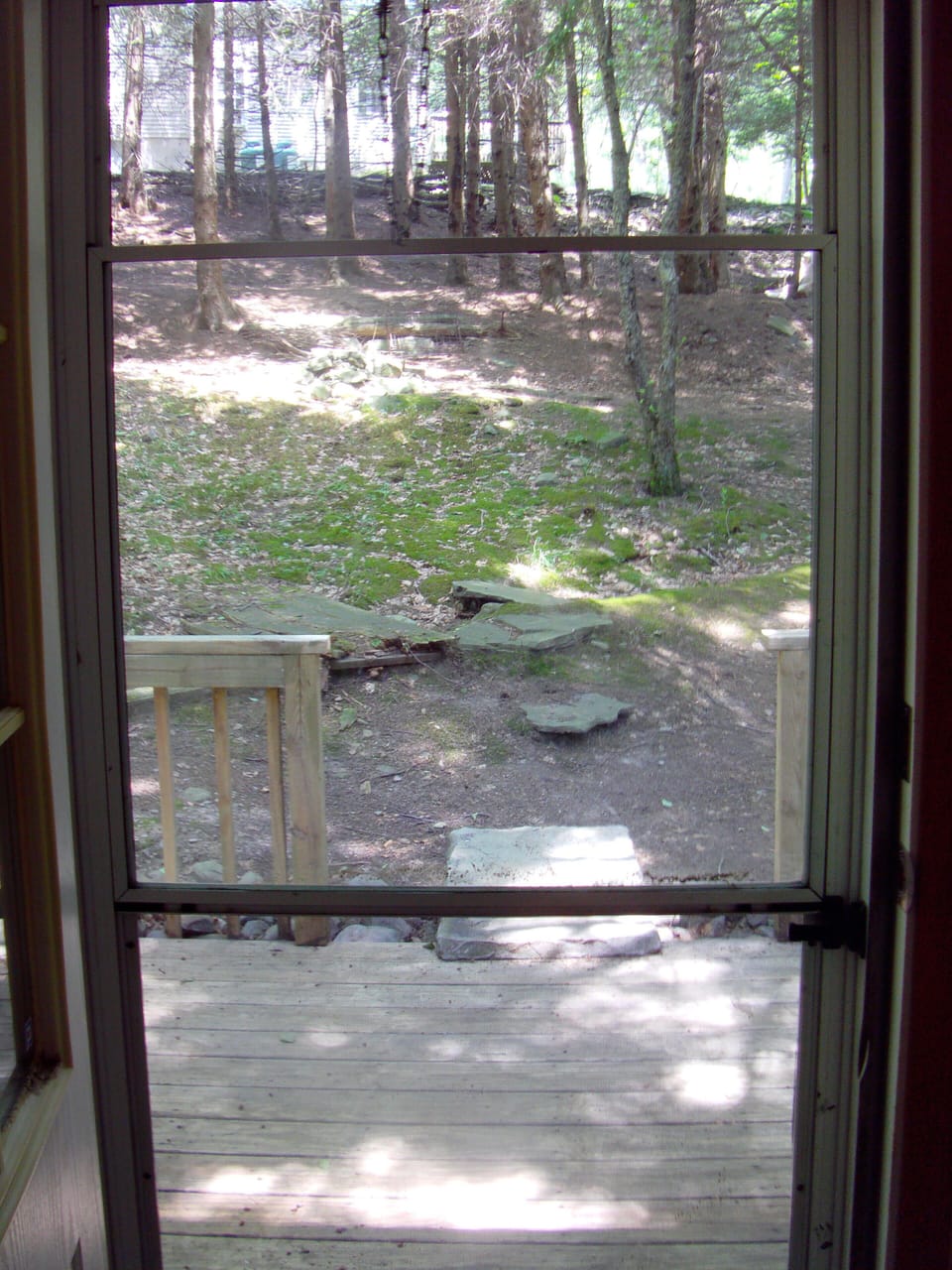 View of back yard from home