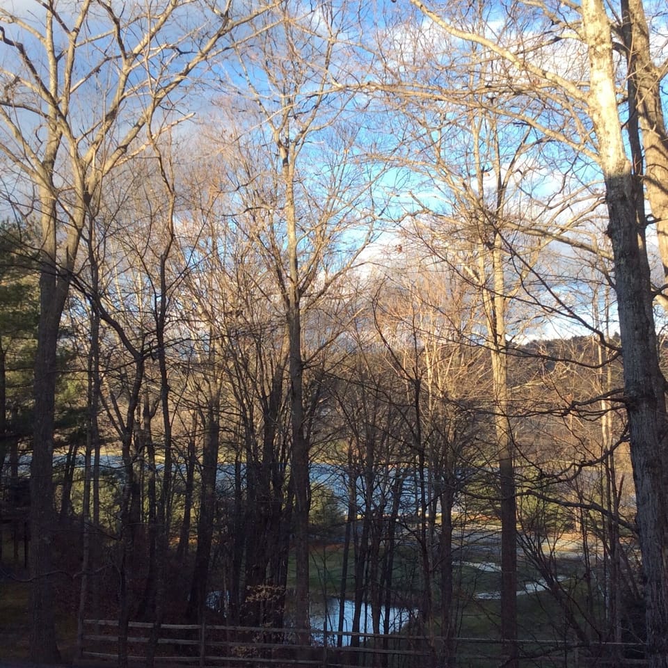 view from deck in late fall
