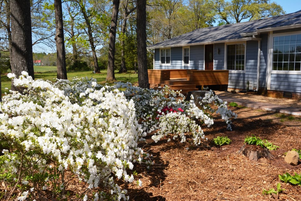 Front with Deck