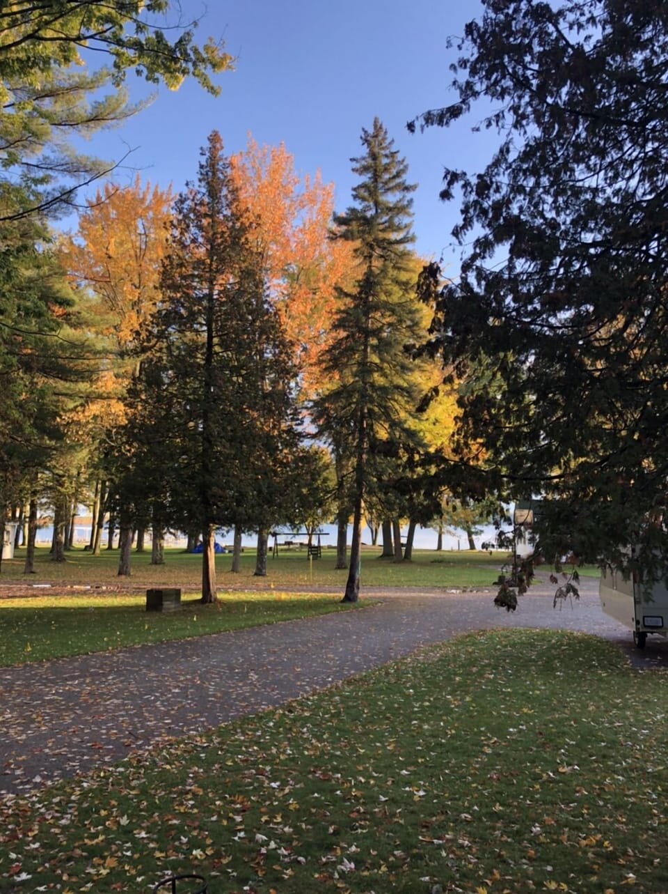 Fall view from deck to lake