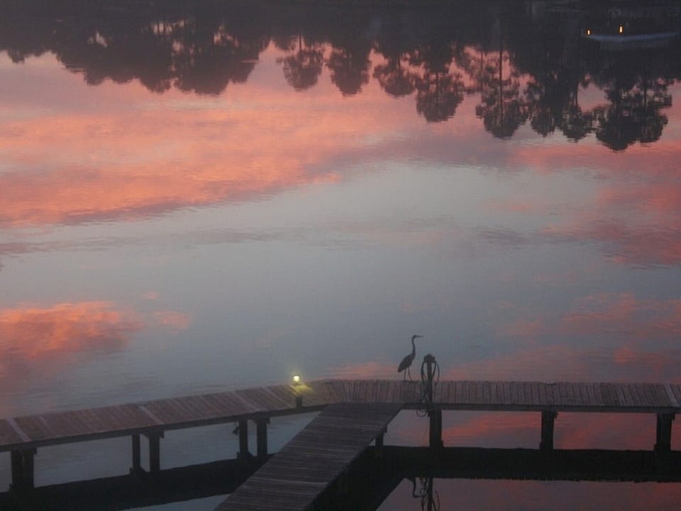  Sun Rise with the resident Blue Heron 