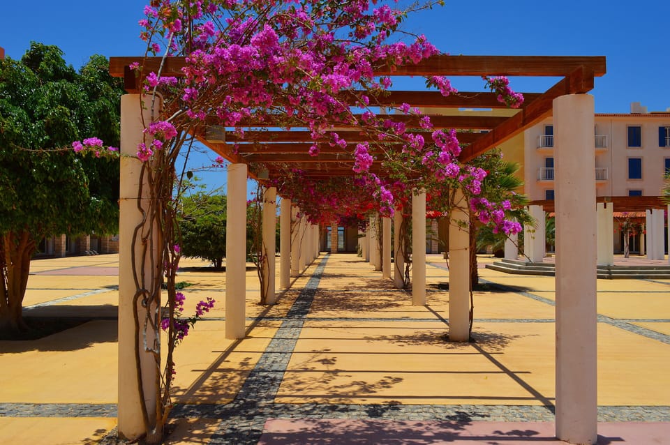 Easy Access, and Very Well Maintained Resort