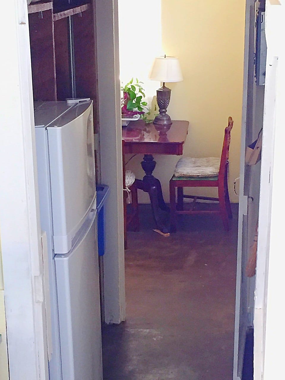 Hallway w/shelves for microwave & guest storage, plus the mighty little refrig.