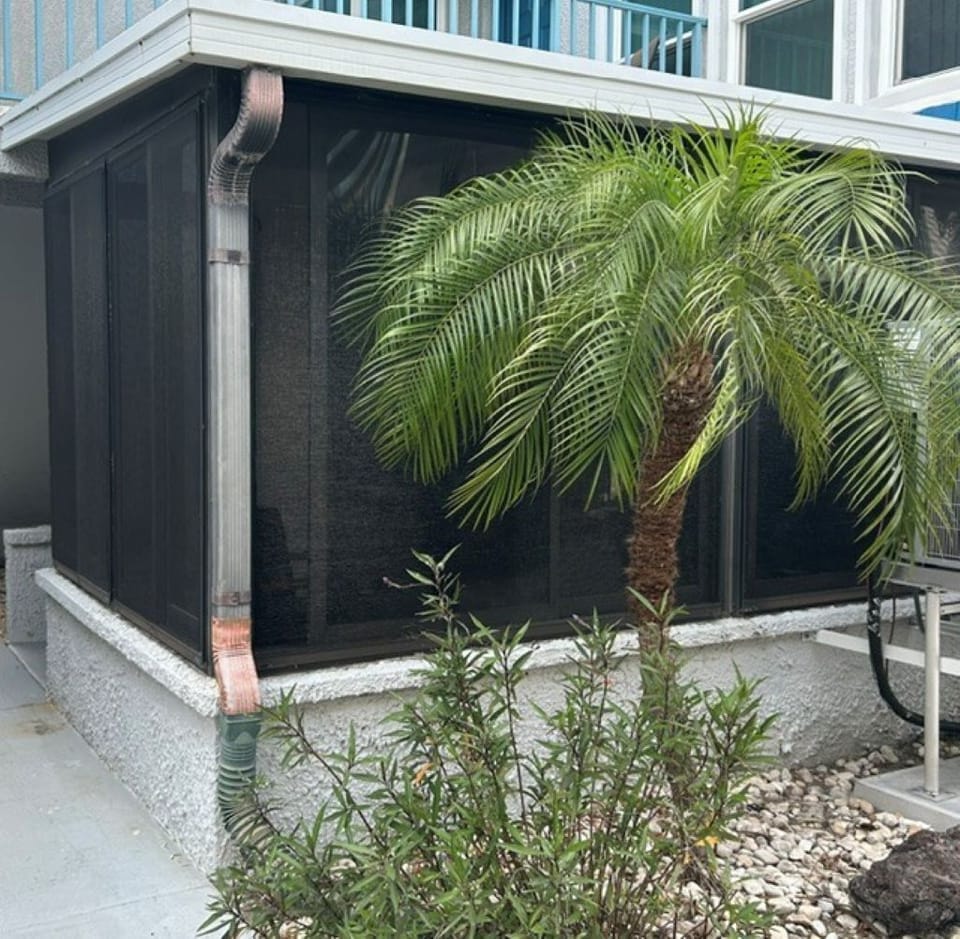 Lanai with Palm Trees
