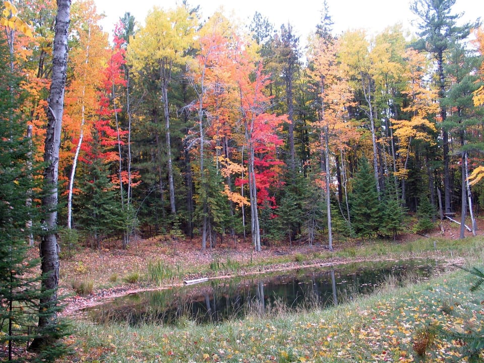 Trout pond in the fall.
