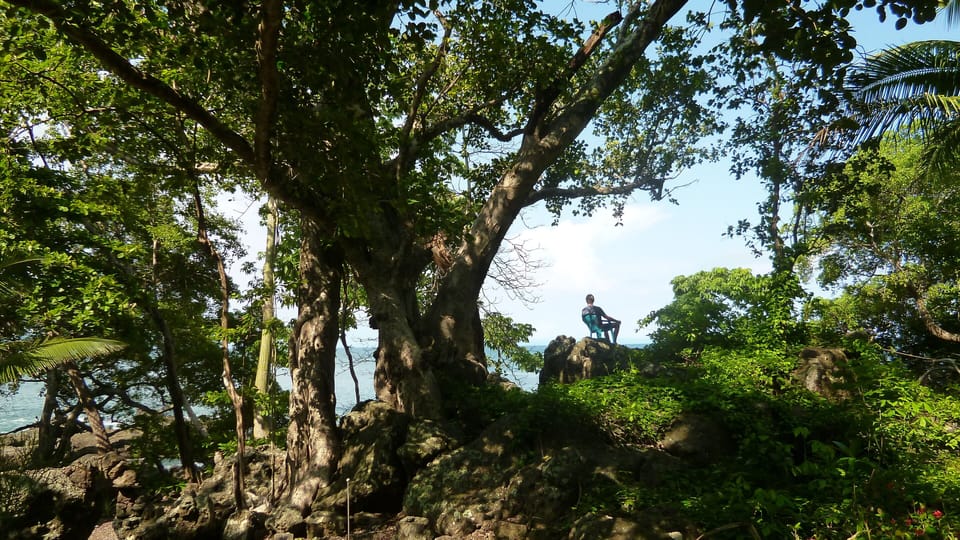 relaxing under the great Higueron tree in the garden