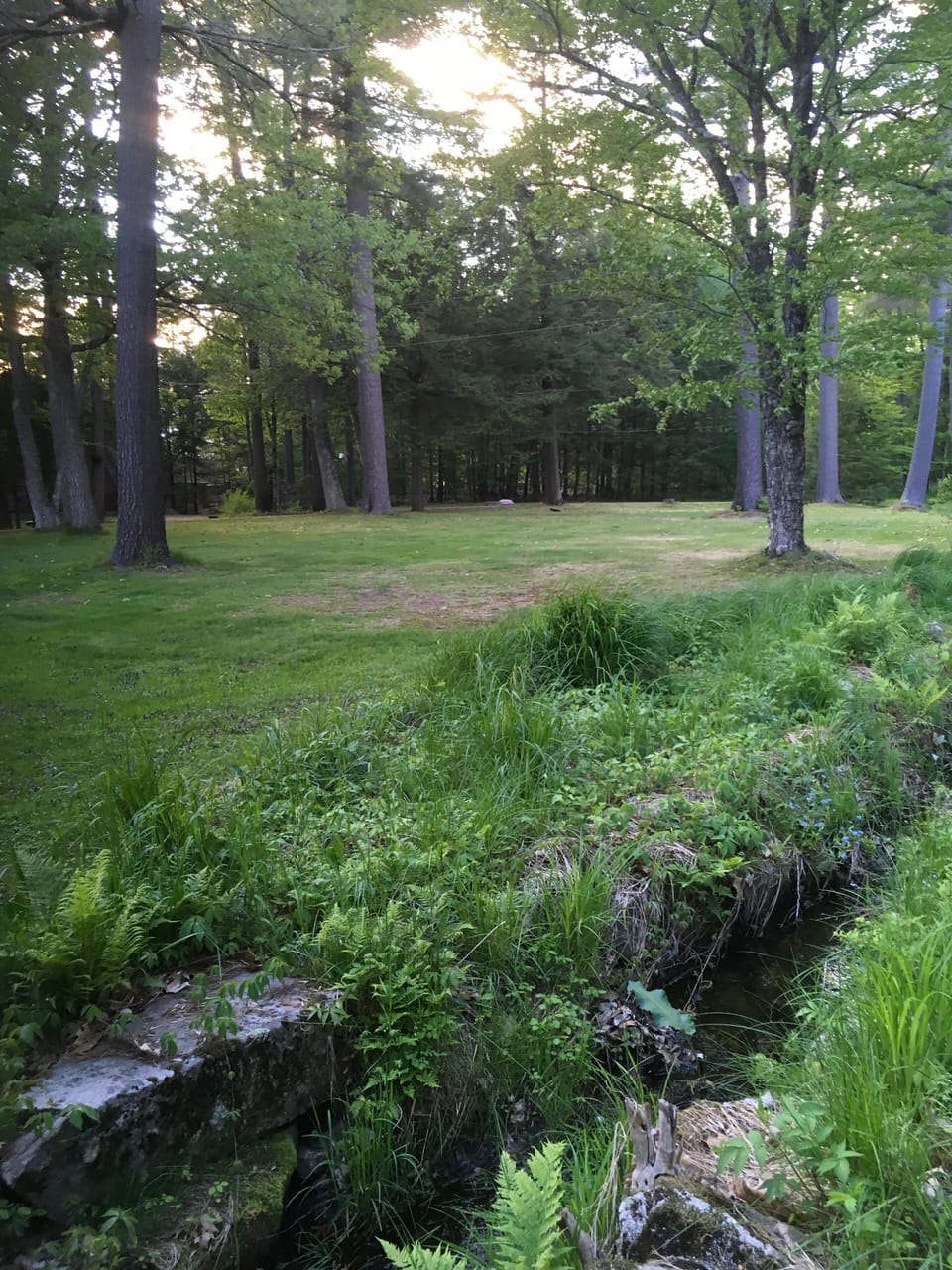 Common area for whiffle ball or soccer