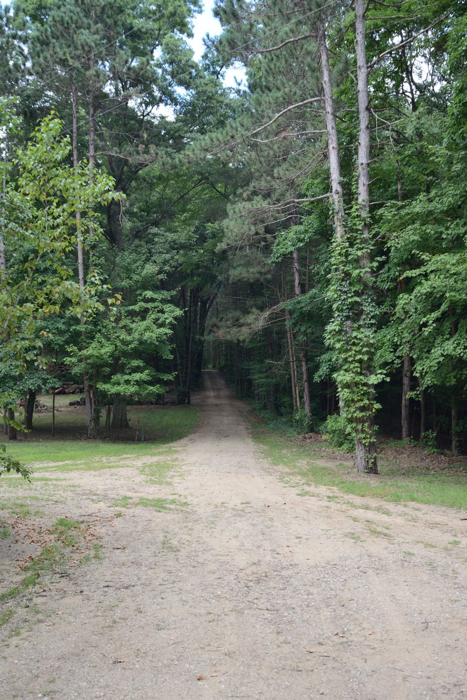 Private driveway leading away from the house