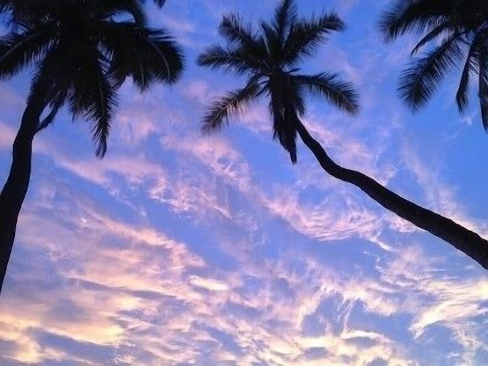 Hawaiian dream.