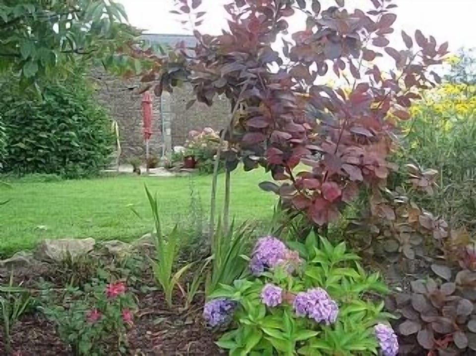 Part of the garden in summer