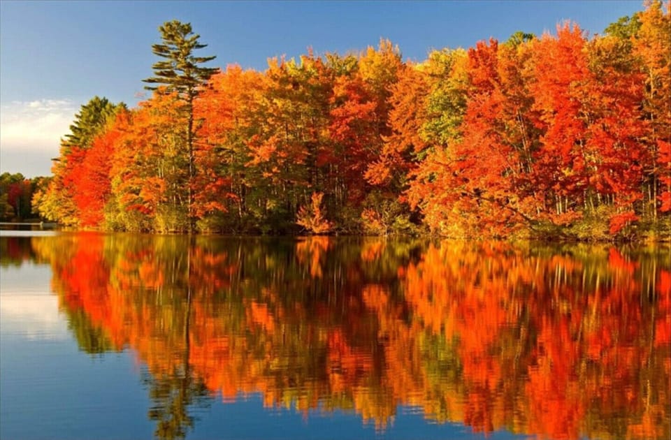 fall colors