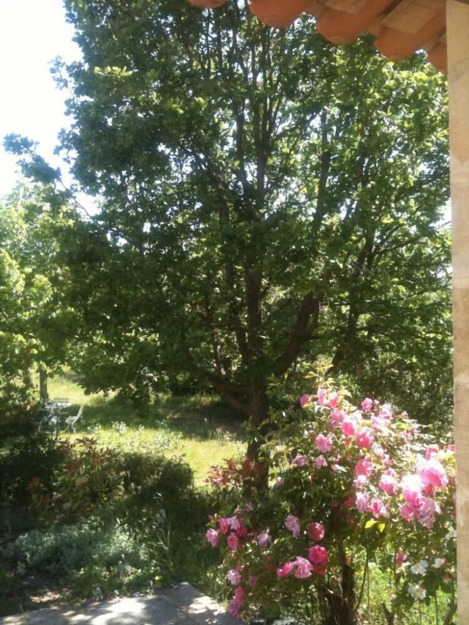 Garden, Park