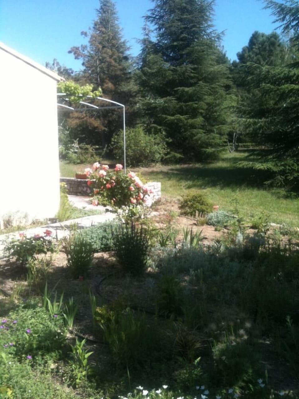 Garden, Park