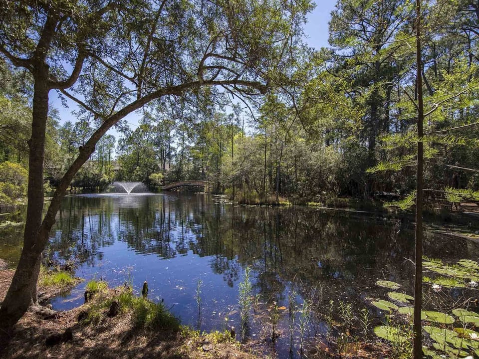 Lake and Fountain