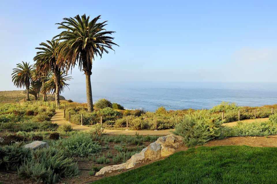 Oceanbluff Trails are Awesome at the Resort