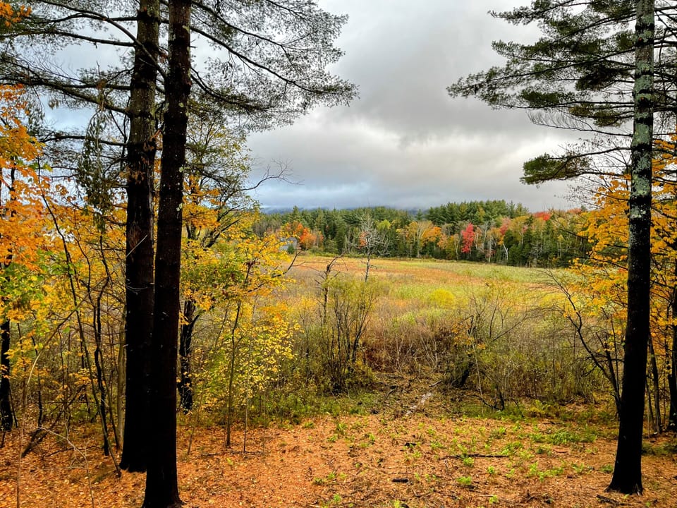 View from the deck