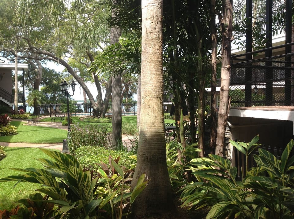 Looking out over the court yard and pool area.