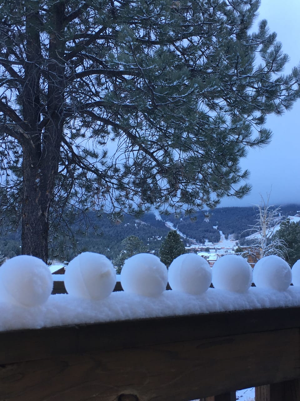 That Ski Mountain view Behind the Snowball Fight fixing to happen on the porch. 