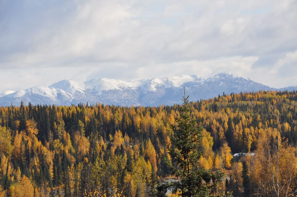 Fall view with snow Kenai Mountains