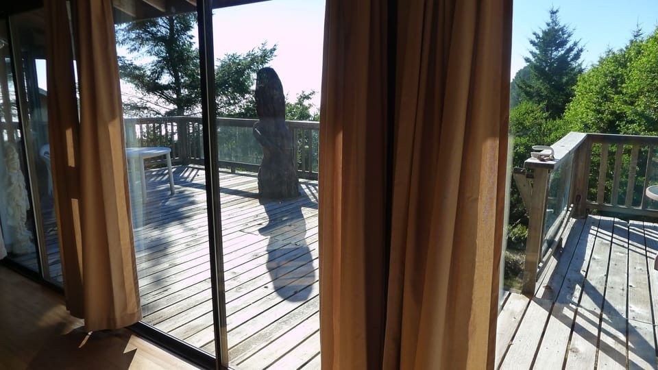 View from the dining table.