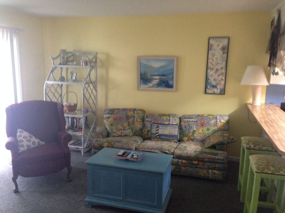 Living room- new couch not shown

