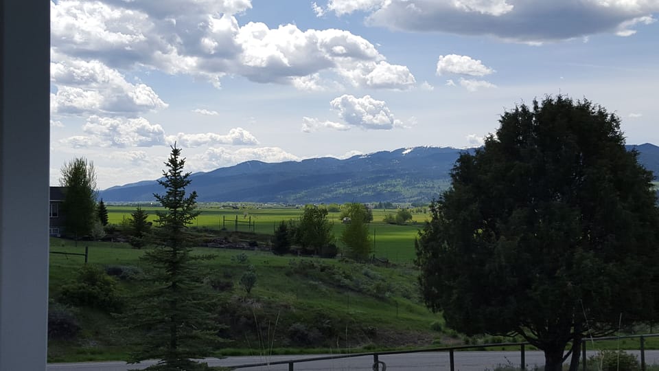 View from property